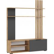 Гостиная Роджина (Дуб Крафт/Графит)