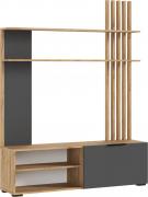 Гостиная Роджина (Дуб Крафт/Графит)