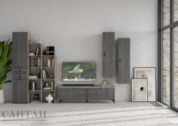 Гостиная Шер №11 (Дуб Серый/Айронвуд Серебро)