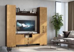 Гостиная Шер №5 (Дуб Апрель темный/Лофт Голден Пэлас)