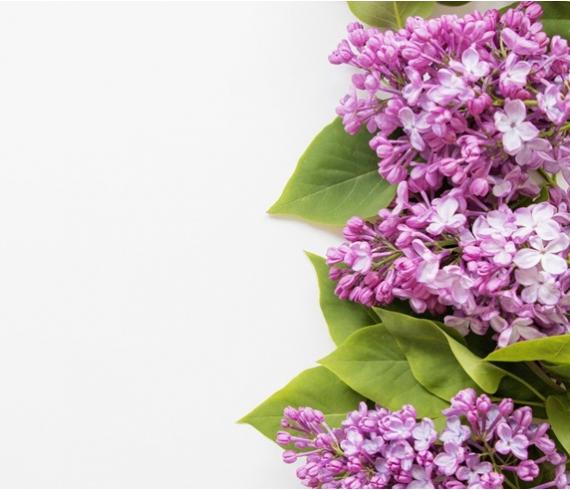 Распродажа мебели в СПб. Скидки до 40%