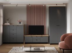 Модульная гостиная Теодора (Крафт Золотой/Графит)