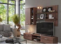 Гостиная «Ингрид» ясень шимо темный